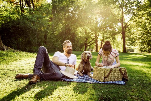 Hund im Park mit Menschen auf einer Picknick Decke